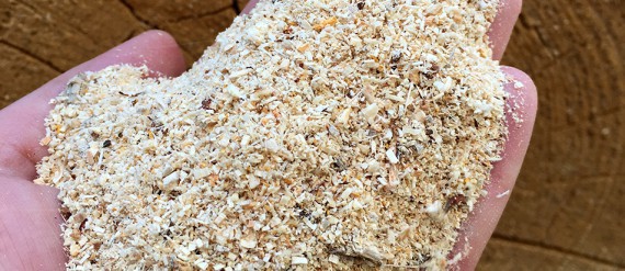 Sawdust Sawdust